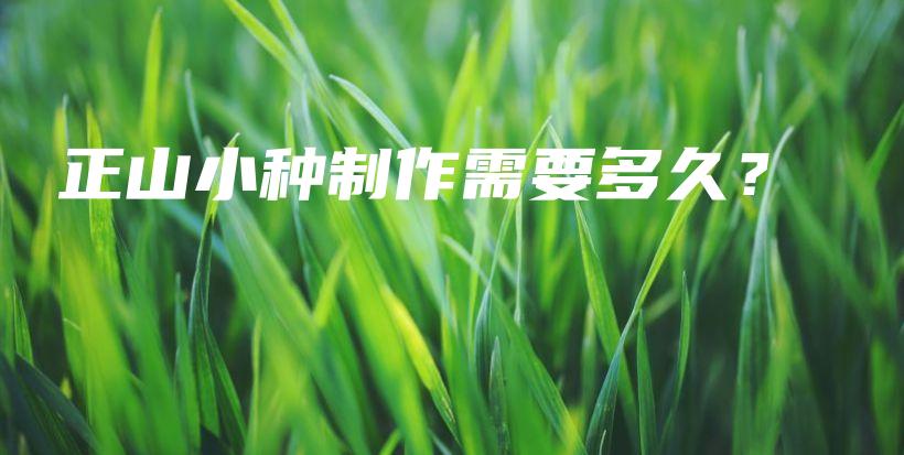 正山小種制作需要多久？插圖