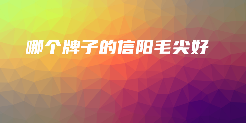 哪個(gè)牌子的信陽毛尖好插圖