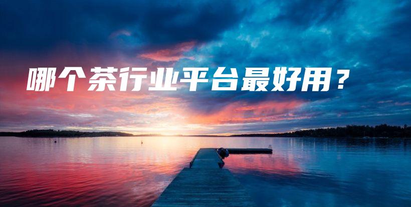 哪個(gè)茶行業(yè)平臺(tái)最好用？插圖