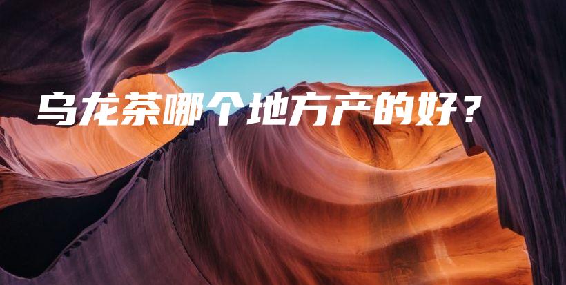 烏龍茶哪個(gè)地方產(chǎn)的好？插圖