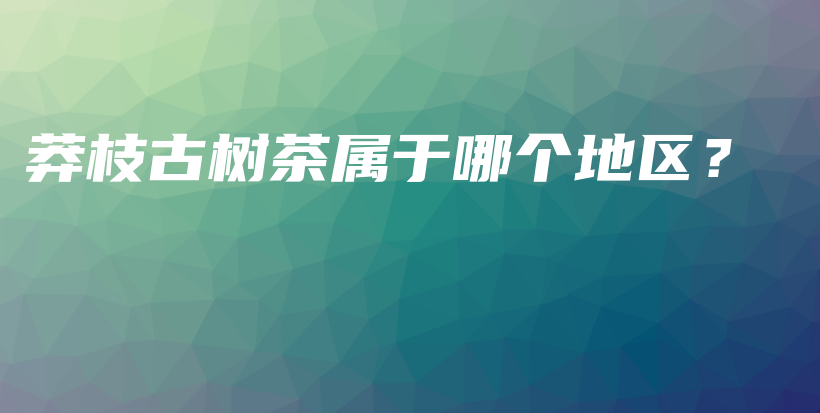 莽枝古樹茶屬于哪個(gè)地區(qū)？插圖