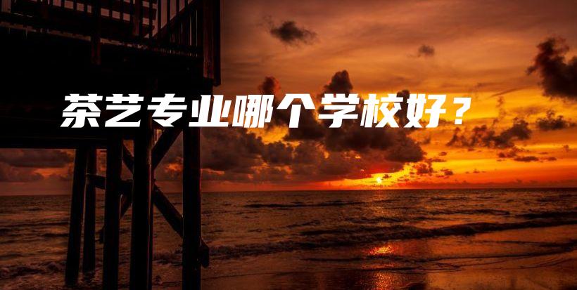 茶藝專業(yè)哪個學校好？插圖