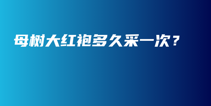 母樹大紅袍多久采一次？插圖