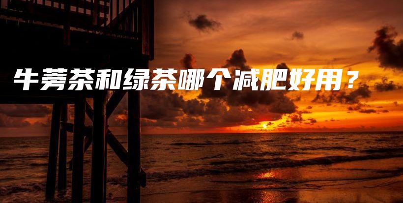 牛蒡茶和綠茶哪個(gè)減肥好用？插圖