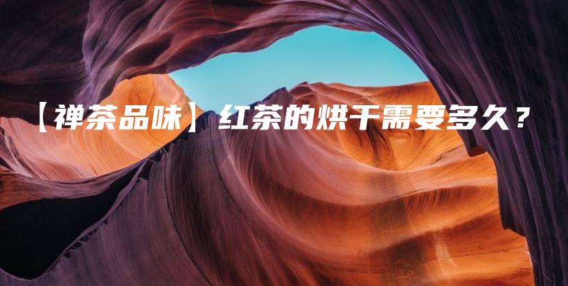 【禪茶品味】紅茶的烘干需要多久？插圖