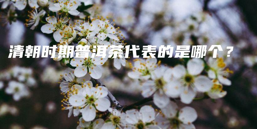 清朝時期普洱茶代表的是哪個？插圖