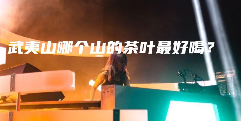 武夷山哪個(gè)山的茶葉最好喝？插圖