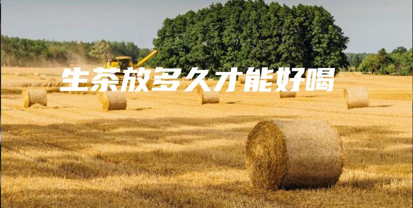 生茶放多久才能好喝插圖