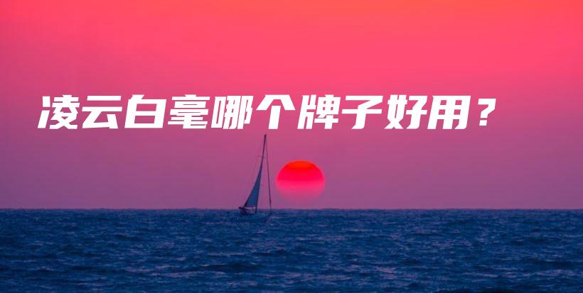 凌云白毫哪個牌子好用？插圖