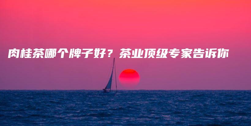 肉桂茶哪個牌子好？茶業(yè)頂級專家告訴你插圖