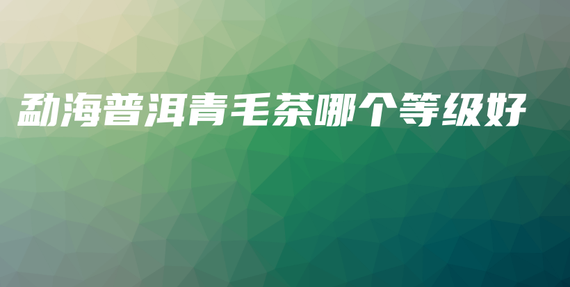 勐海普洱青毛茶哪個(gè)等級(jí)好插圖
