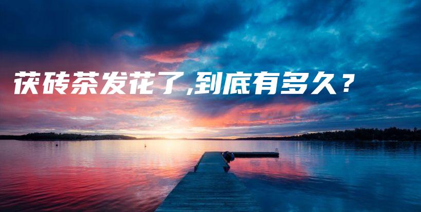茯磚茶發(fā)花了,到底有多久？插圖