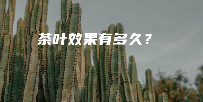 茶葉效果有多久？插圖