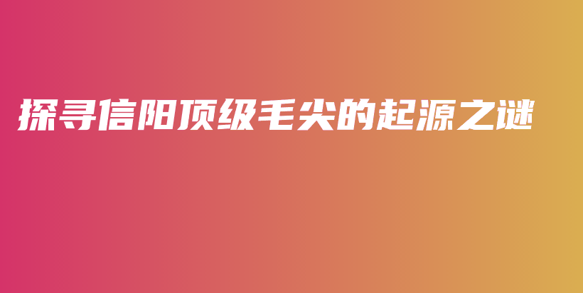 探尋信陽頂級毛尖的起源之謎插圖