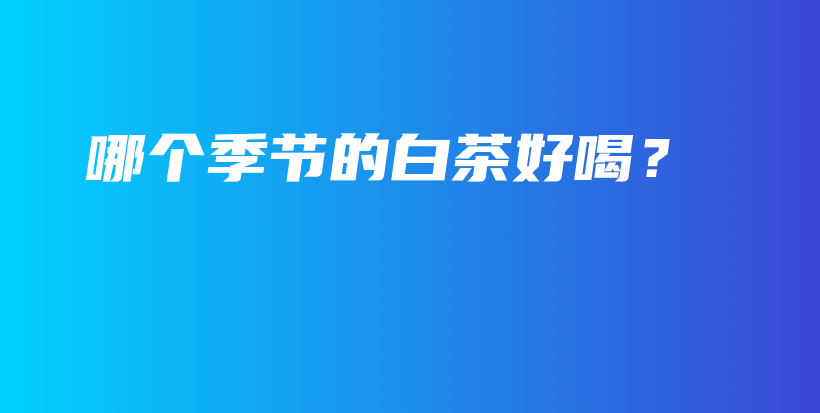 哪個(gè)季節(jié)的白茶好喝？插圖