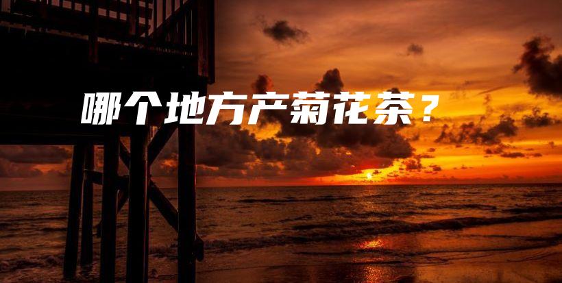 哪個(gè)地方產(chǎn)菊花茶？插圖