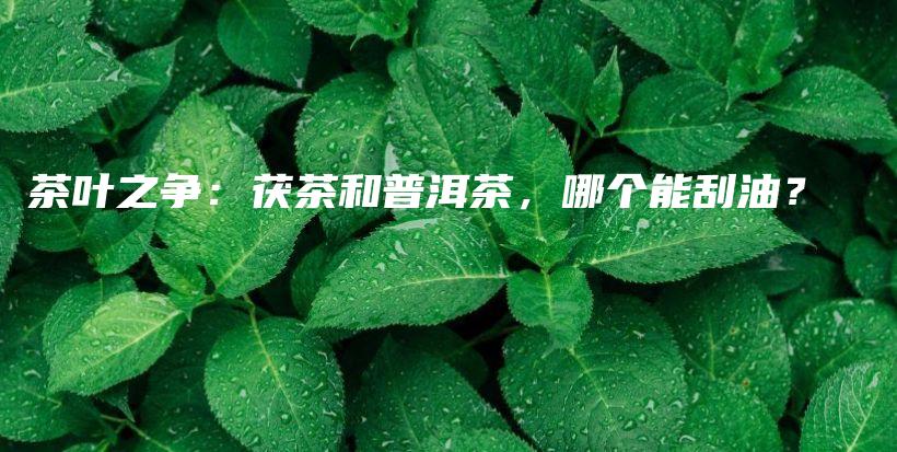 茶葉之爭：茯茶和普洱茶，哪個能刮油？插圖