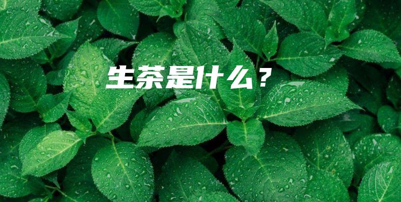 生茶是什么？插圖