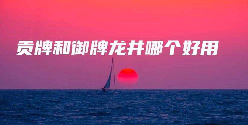 貢牌和御牌龍井哪個好用插圖