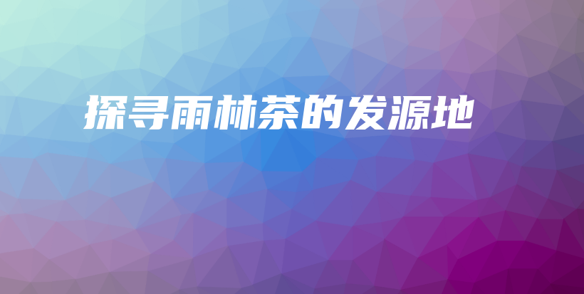 探尋雨林茶的發(fā)源地插圖