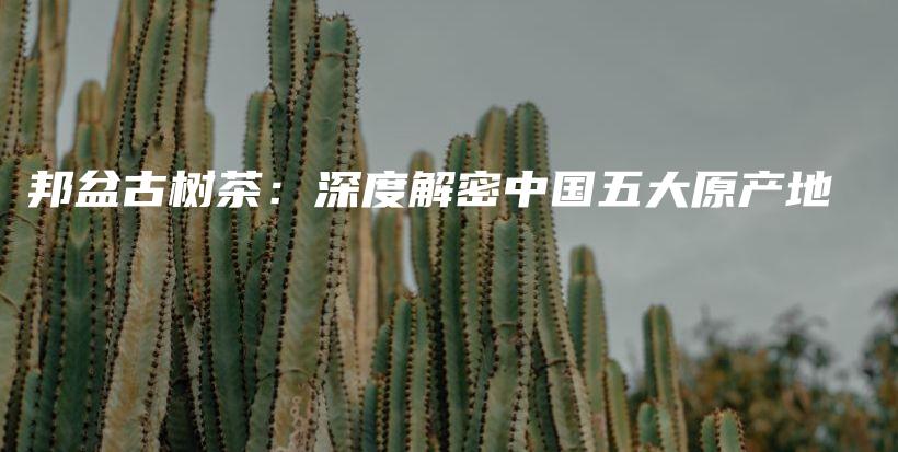 邦盆古樹茶：深度解密中國五大原產(chǎn)地插圖