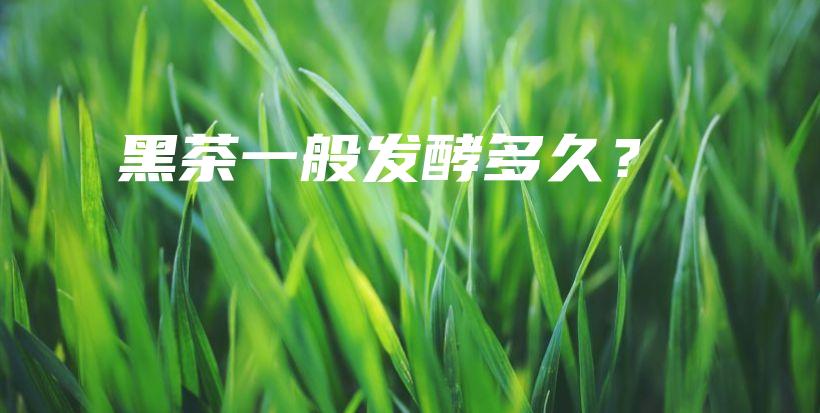 黑茶一般發(fā)酵多久？插圖