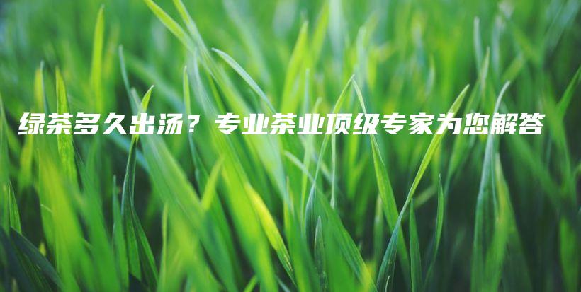 綠茶多久出湯？專業(yè)茶業(yè)頂級專家為您解答插圖