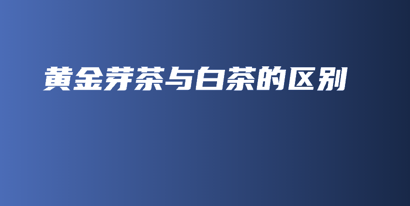 黃金芽茶與白茶的區(qū)別插圖