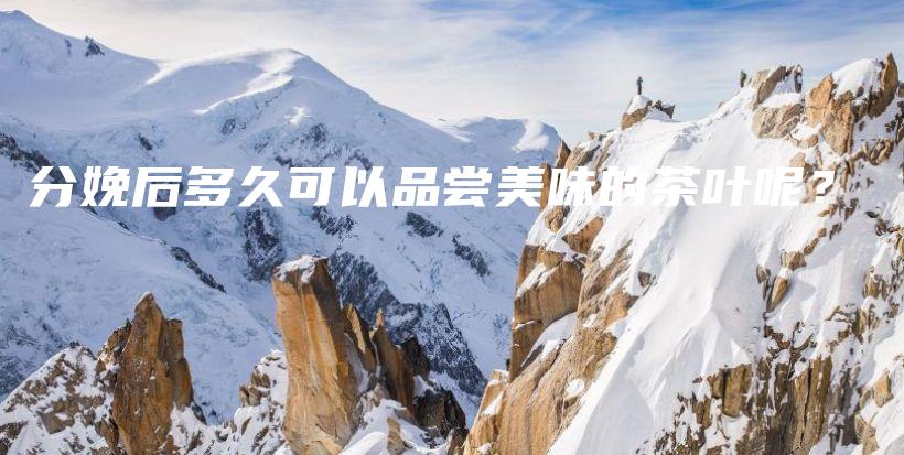 分娩后多久可以品嘗美味的茶葉呢？插圖