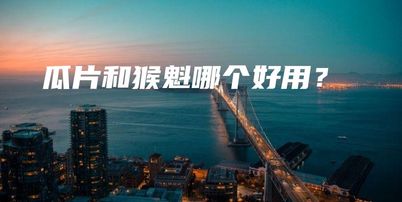 瓜片和猴魁哪個(gè)好用？插圖