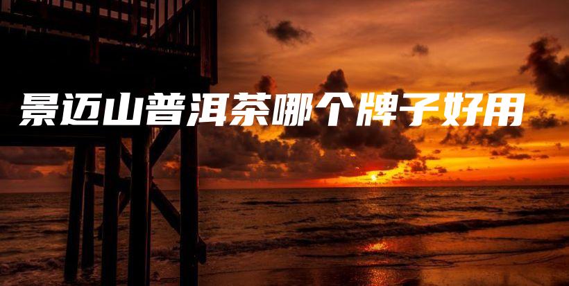 景邁山普洱茶哪個牌子好用插圖