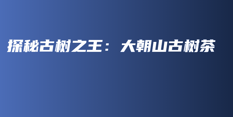 探秘古樹之王：大朝山古樹茶插圖