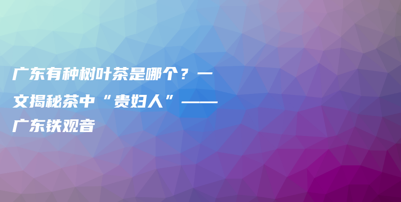 廣東有種樹葉茶是哪個(gè)？一文揭秘茶中“貴婦人”——廣東鐵觀音插圖