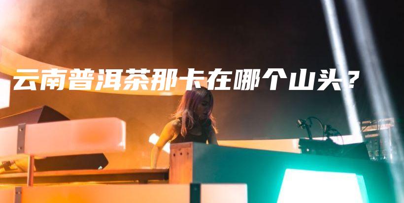 云南普洱茶那卡在哪個(gè)山頭？插圖