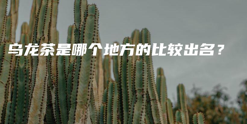 烏龍茶是哪個地方的比較出名？插圖
