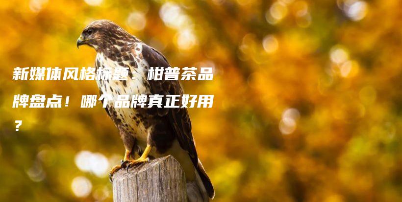 新媒體風格標題：柑普茶品牌盤點！哪個品牌真正好用？插圖