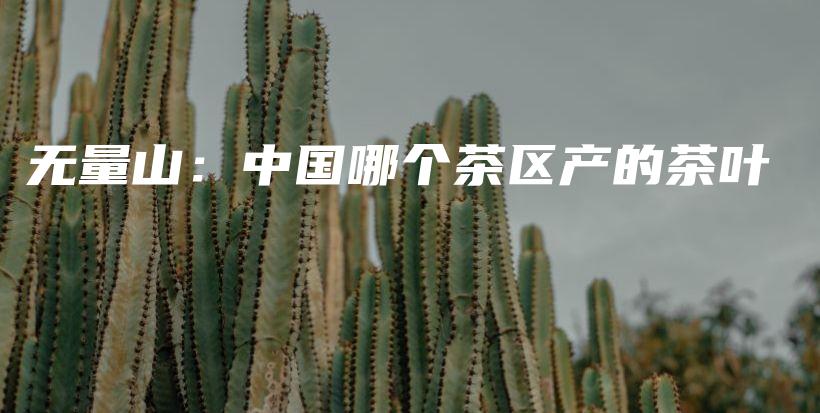 無量山：中國哪個茶區(qū)產(chǎn)的茶葉插圖