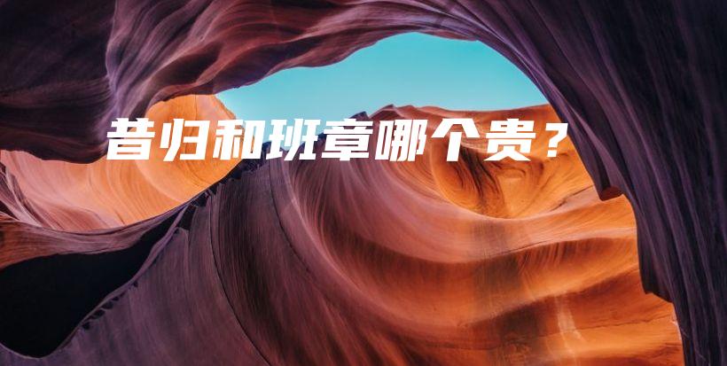 昔歸和班章哪個貴？插圖