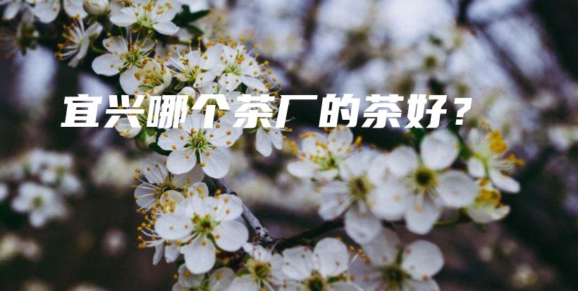 宜興哪個茶廠的茶好？插圖