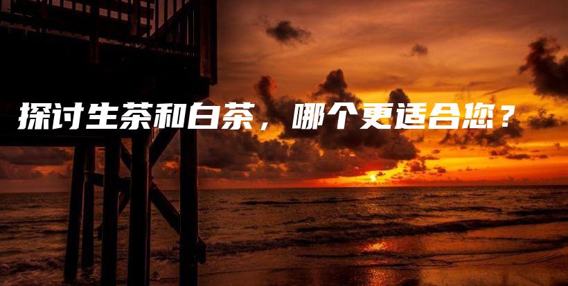 探討生茶和白茶，哪個(gè)更適合您？插圖