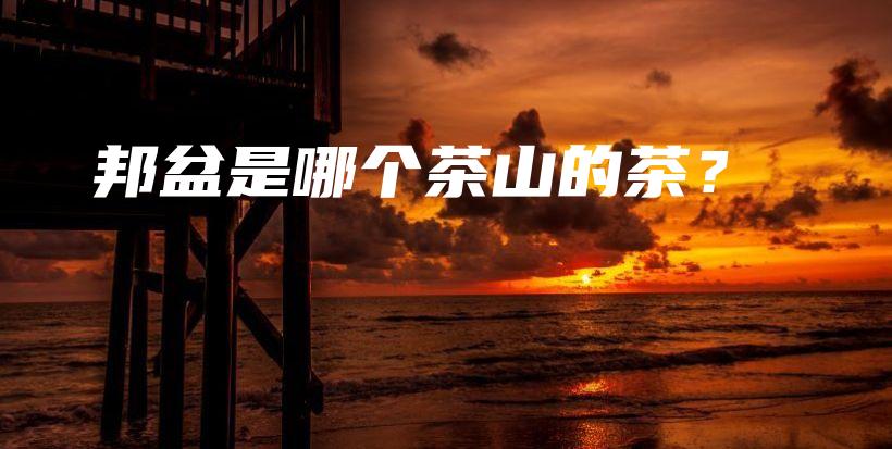 邦盆是哪個(gè)茶山的茶？插圖