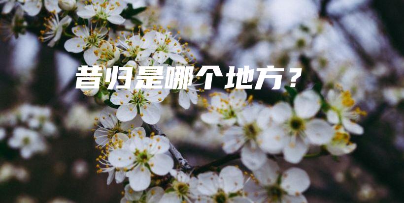 昔歸是哪個(gè)地方？插圖