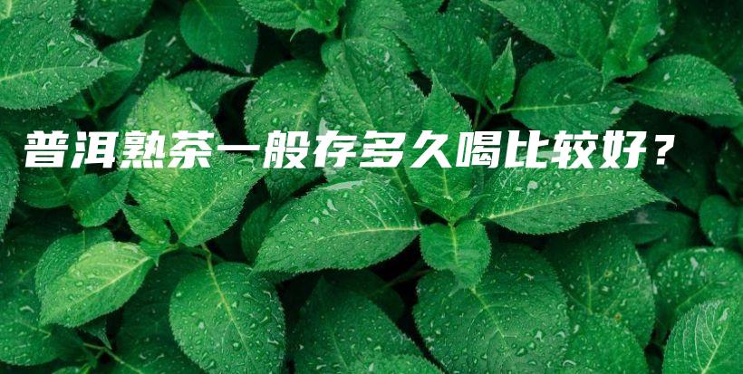 普洱熟茶一般存多久喝比較好？插圖