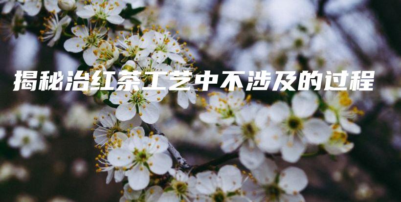揭秘治紅茶工藝中不涉及的過程插圖