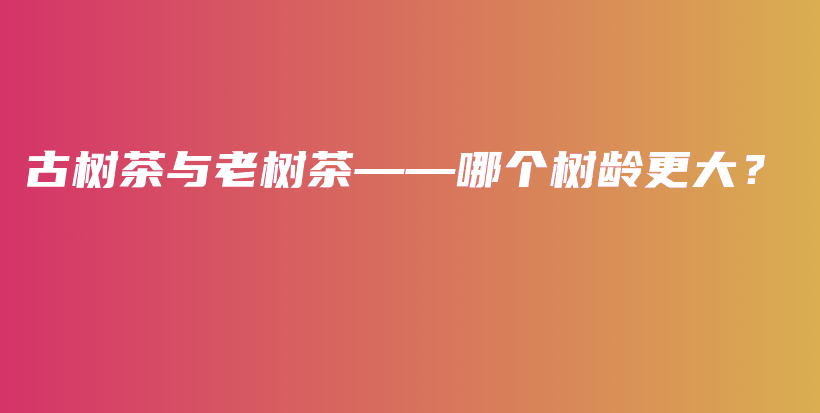 古樹(shù)茶與老樹(shù)茶——哪個(gè)樹(shù)齡更大？插圖