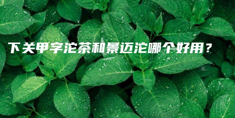 下關(guān)甲字沱茶和景邁沱哪個(gè)好用？插圖