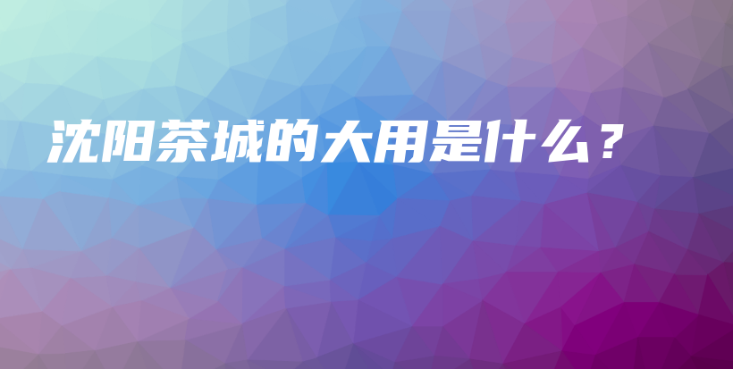 沈陽茶城的大用是什么？插圖