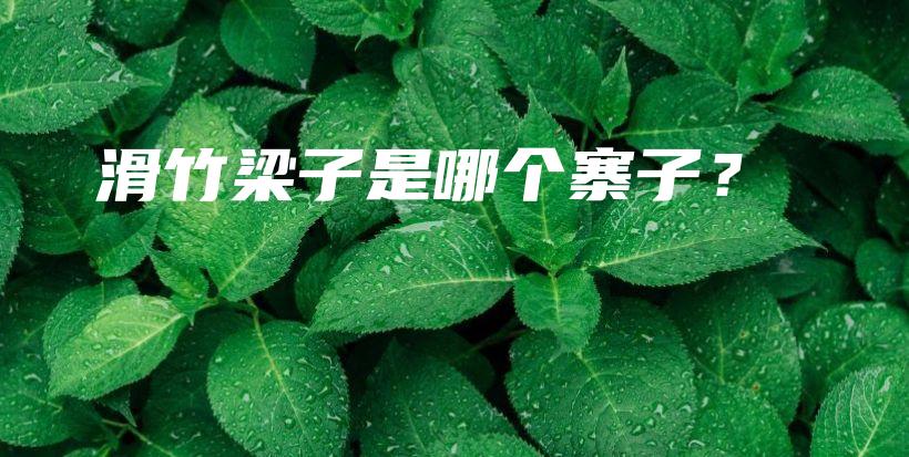 滑竹梁子是哪個(gè)寨子？插圖