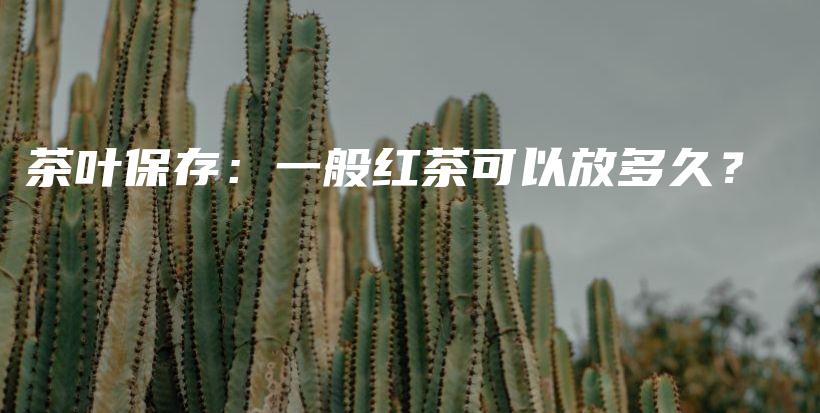 茶葉保存：一般紅茶可以放多久？插圖