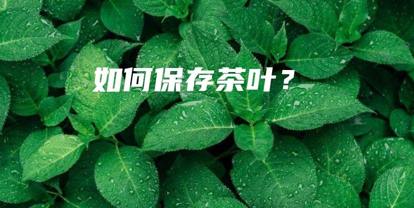 如何保存茶葉？插圖